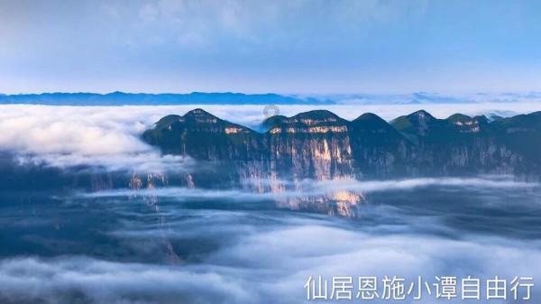 救援有趣的孔雀