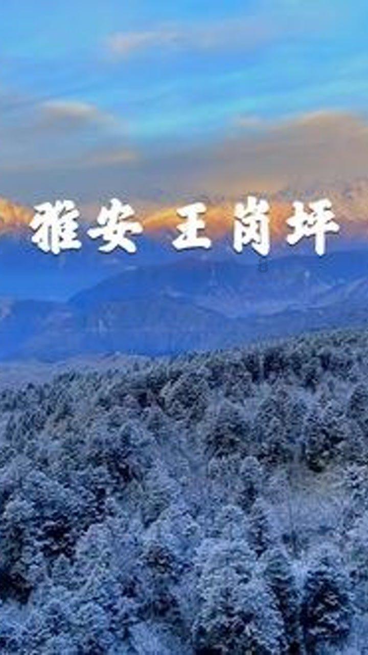 直击代表委员报到现场 来看他们今年带来了啥