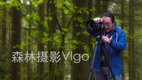 《幻兽帕鲁》最强幻兽排行