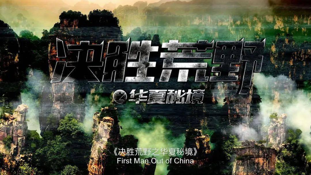 蝙蝠侠：阿甘骑士