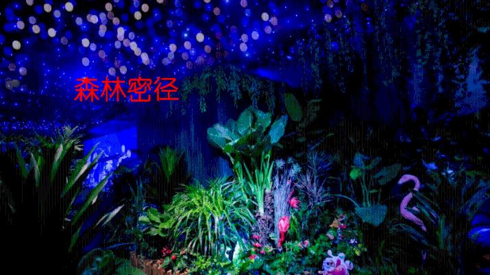 探索世界,畅聊大众高尔夫1.4T的火花塞和丰田花冠的火花塞一样吗?